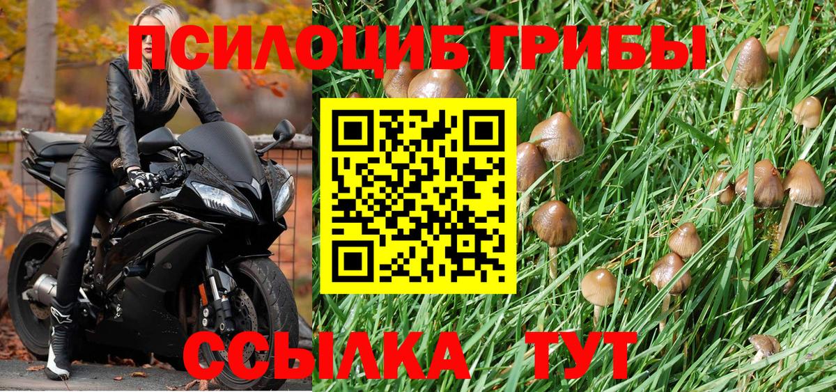 Усинск  наркотики  Вход с VPN  Псилоцибиновые грибы Magic Shrooms 