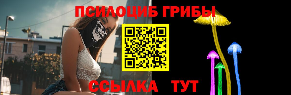 Псилоцибиновые грибы GOLDEN TEACHER Усинск